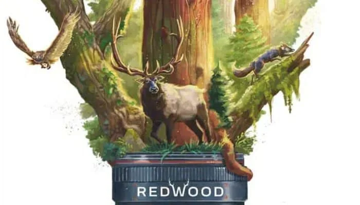 Redwood