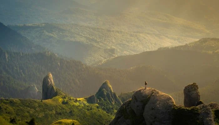 Meilleurs jeux de société nature